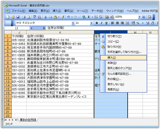 宛名印刷ソフトから書き出した住所録を取込み形式に編集 ビジネスグラフィック